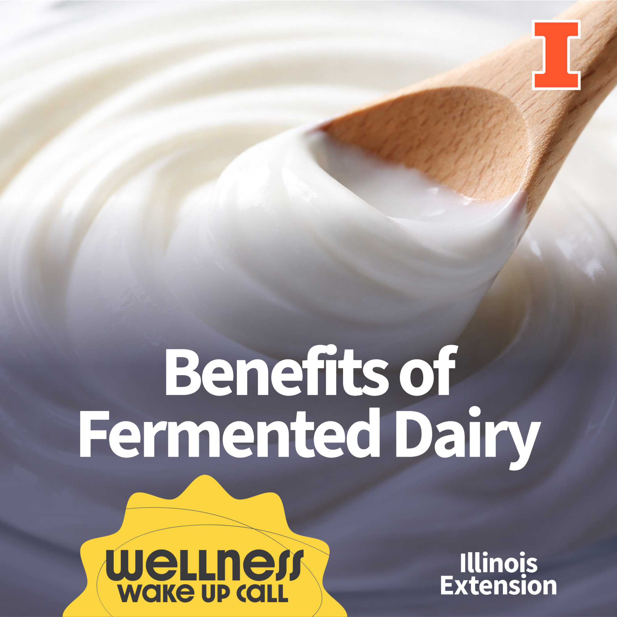 Benefits of Fermented Dairy episode artwork